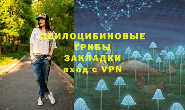 эйфоретик Беломорск