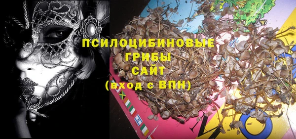 гашик Белоозёрский
