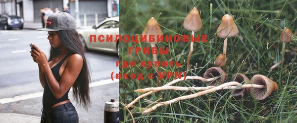 гашик Белоозёрский
