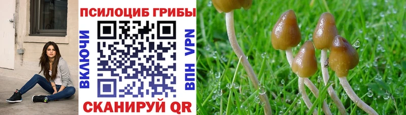 Галлюциногенные грибы мицелий  Первомайск 